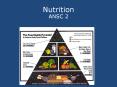 Nutrition PowerPoint PPT Presentation