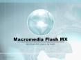 Macromedia Flash MX PowerPoint PPT Presentation