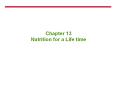 Chapter 13 Nutrition for a Life time PowerPoint PPT Presentation