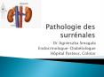 Pathologie des surr PowerPoint PPT Presentation
