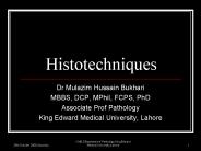 Histotechniques