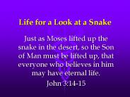 Life for a Look at a Snake