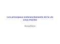 Les principaux embranchements de la vie sous-marine PowerPoint PPT Presentation