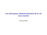 Les principaux embranchements de la vie sous-marine
