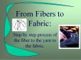 From Fibers to Fabric: PowerPoint PPT Presentation