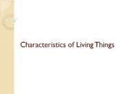 Characteristics of Living Things