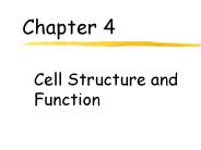 Cell Structure and Function