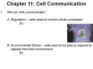 Characteristics Of Life