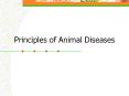 Principles of Animal Diseases PowerPoint PPT Presentation