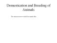 Domestication and Breeding of Animals PowerPoint PPT Presentation