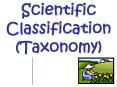 Scientific Classification (Taxonomy) PowerPoint PPT Presentation