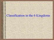 Classification in the 6 Kingdoms