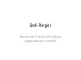 Bell Ringer PowerPoint PPT Presentation