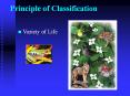 Principle of Classification PowerPoint PPT Presentation