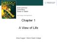 Chapter 1 A View of Life PowerPoint PPT Presentation