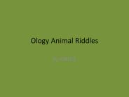 Ology Animal Riddles
