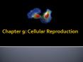 Chapter 9: Cellular Reproduction PowerPoint PPT Presentation