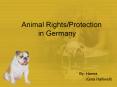 Animal Rights/Protection   in Germany PowerPoint PPT Presentation