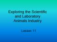 Exploring the Scientific and Laboratory Animals Industry PowerPoint PPT Presentation