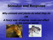 Stimulus and Response