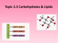 Topic 2.3 Carbohydrates PowerPoint PPT Presentation