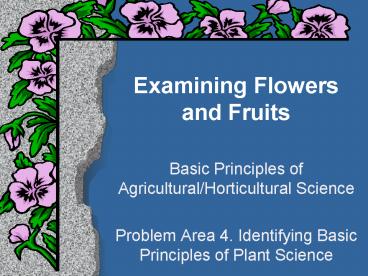 Examining Flowers and Fruits