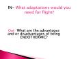 IN- What adaptations would you need for flight? PowerPoint PPT Presentation