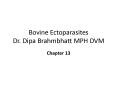 Bovine Ectoparasites Dr. Dipa Brahmbhatt MPH DVM PowerPoint PPT Presentation