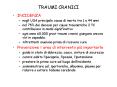 TRAUMI CRANICI PowerPoint PPT Presentation