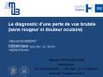 Le diagnostic d'une perte de vue brutale (sans rougeur ni douleur oculaire) PowerPoint PPT Presentation