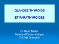 GLANDES THYROIDE ET PARATHYROIDES PowerPoint PPT Presentation