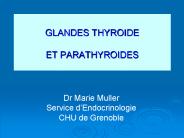 GLANDES THYROIDE ET PARATHYROIDES