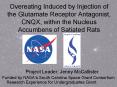 Overeating Induced by Injection of the Glutamate Receptor Antagonist, CNQX, within the Nucleus Accumbens of Satiated Rats PowerPoint PPT Presentation