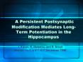 A Persistent Postsynaptic Modification Mediates Long-Term Potentiation in the Hippocampus PowerPoint PPT Presentation