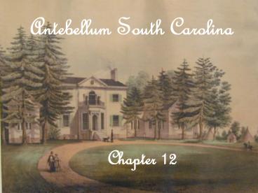 Antebellum South Carolina