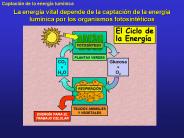 La energ