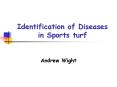 Identification of Diseases in Sports turf PowerPoint PPT Presentation