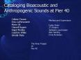 Cataloging Bioacoustic and Anthropogenic Sounds of the Hudson River PowerPoint PPT Presentation