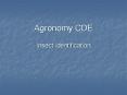 Agronomy CDE Insect Identification PowerPoint PPT Presentation