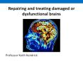 Repairing and treating damaged or dysfunctional brains PowerPoint PPT Presentation
