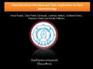 Plant Beneficial Microbes and Their Application in Plant Biotechnology