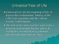 Universal Tree of Life PowerPoint PPT Presentation