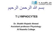 T LYMPHOCYTES
