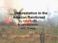 Deforestation In the Amazon Rainforest PowerPoint PPT Presentation