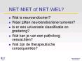 NET NIET of NET WEL? PowerPoint PPT Presentation