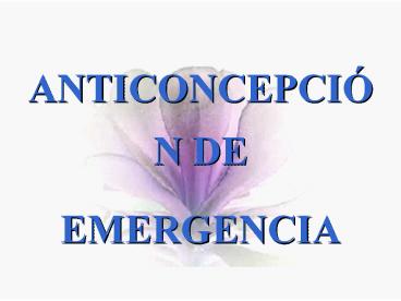 ...VIVIENDO EN LA TIERRA