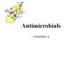 Antimicrobials PowerPoint PPT Presentation