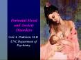 Perinatal Mood and Anxiety Disorders PowerPoint PPT Presentation