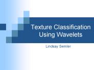Texture Classification Using Wavelets