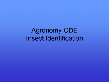 Agronomy CDE Insect Identification
